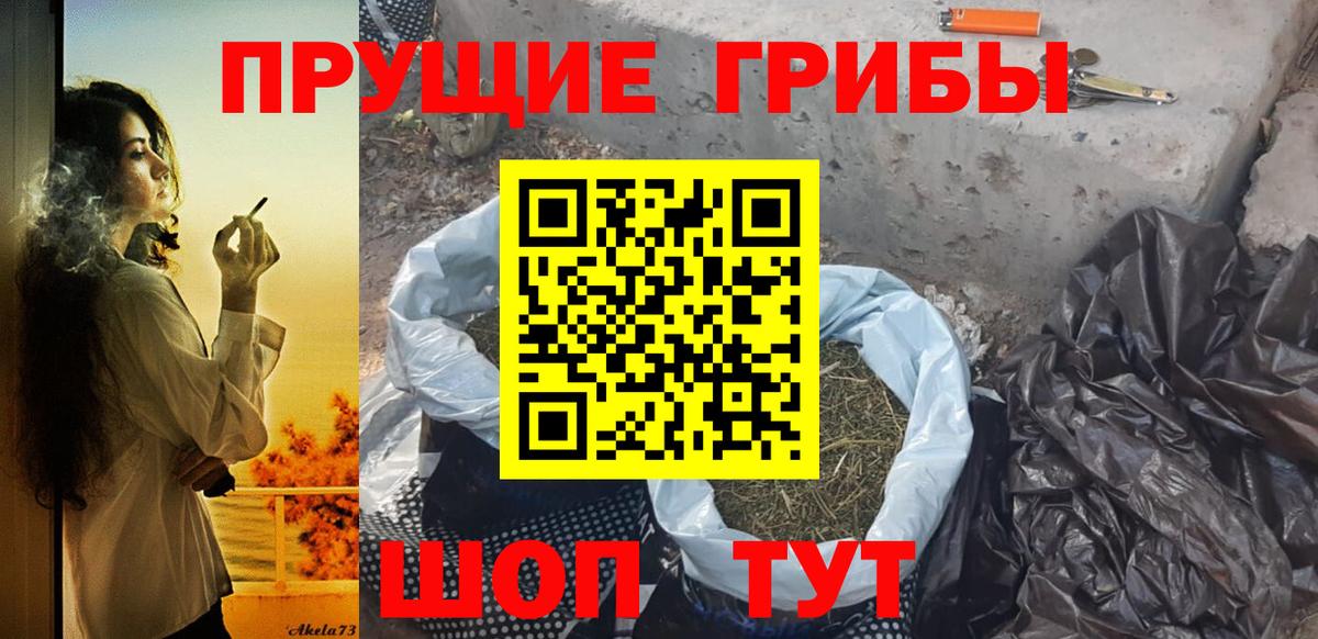 Псилоцибиновые грибы Magic Shrooms  Вход с VPN  Бахчисарай  сколько стоит  Псилоцибиновые грибы прущие грибы 