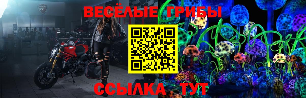 Галлюциногенные грибы мицелий Бахчисарай